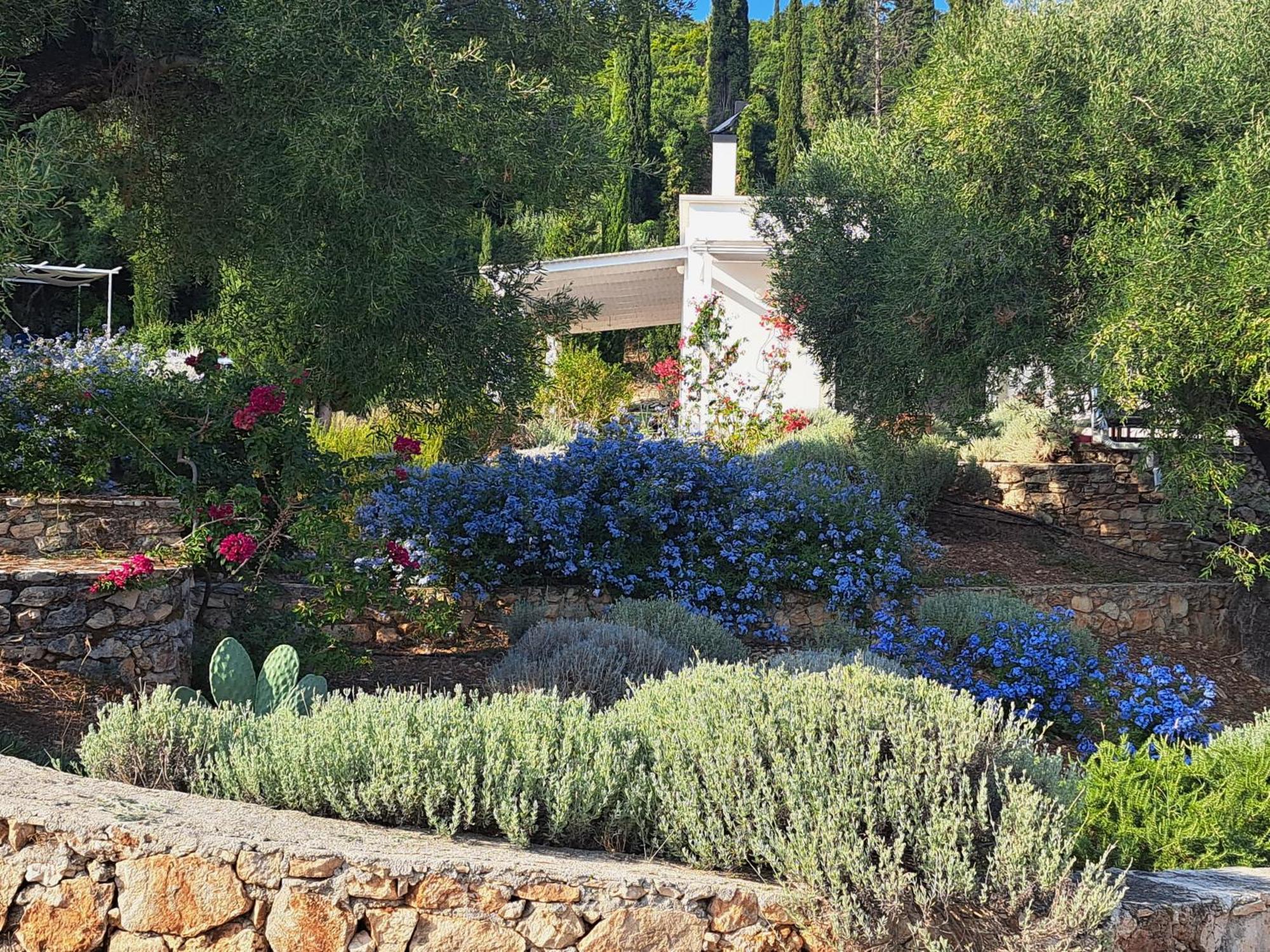 Villa Buras Skinária Esterno foto